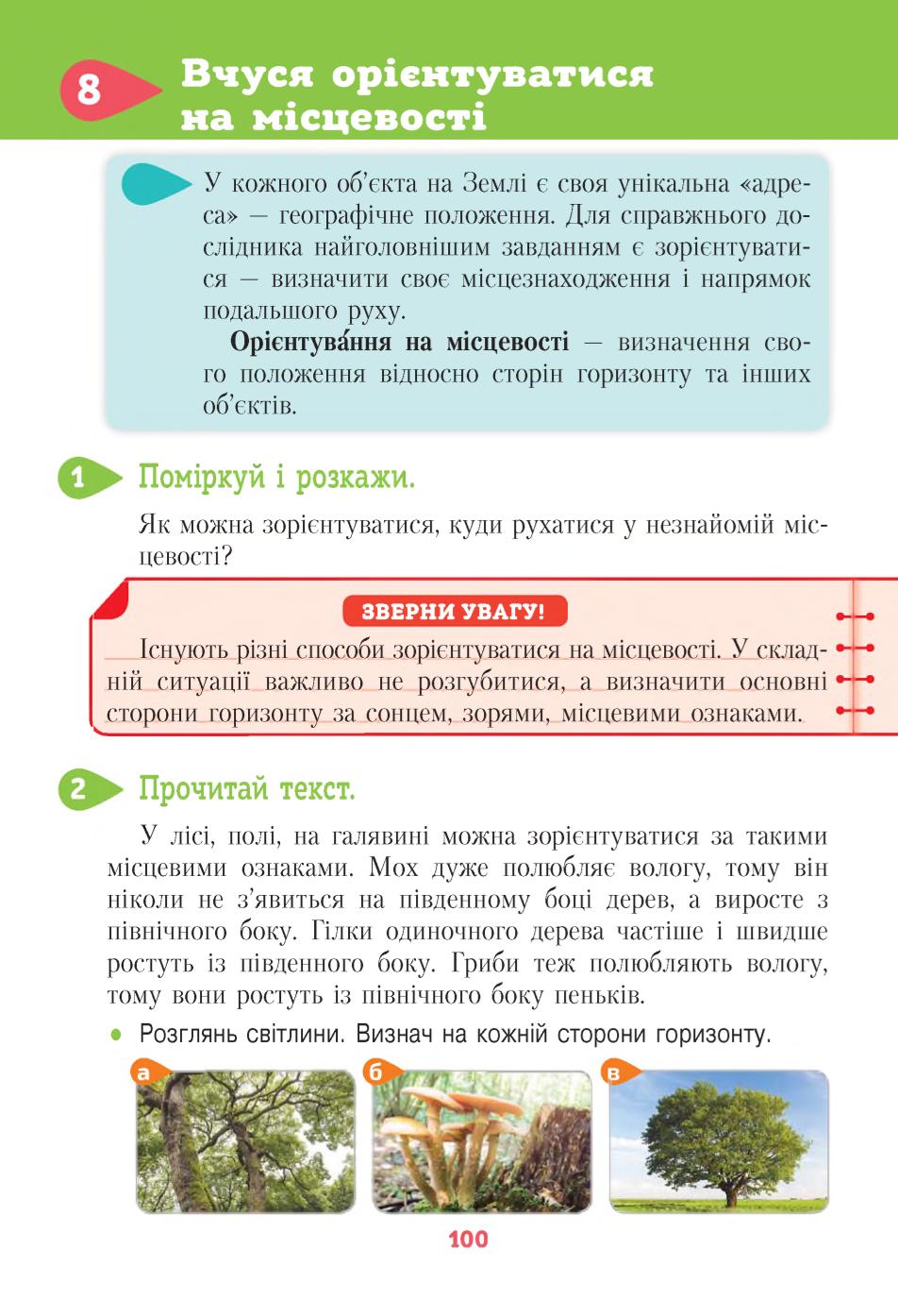 Мініатюра 100