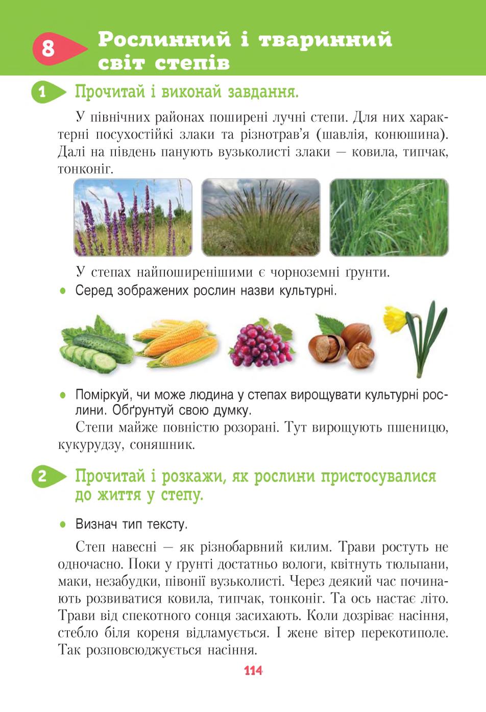 Мініатюра 114