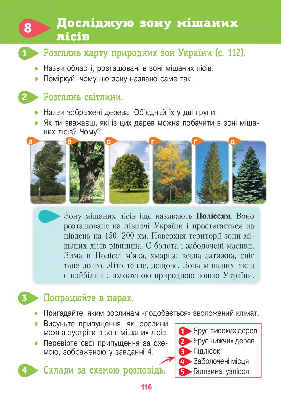 Мініатюра 116