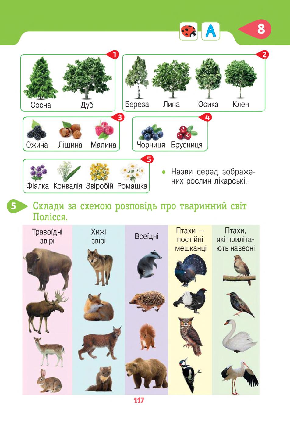 Мініатюра 117