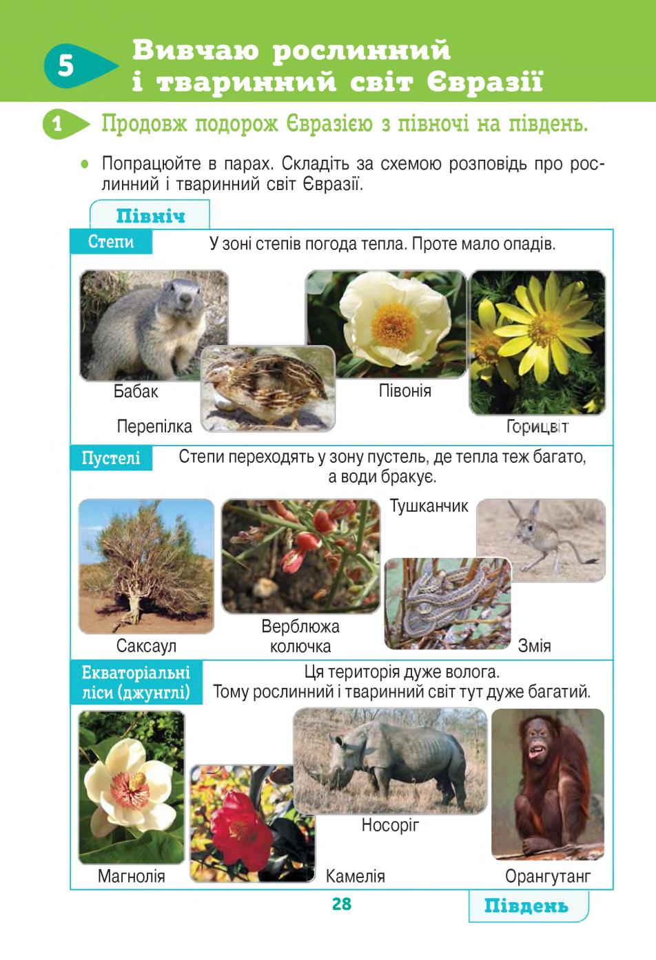 Мініатюра 28