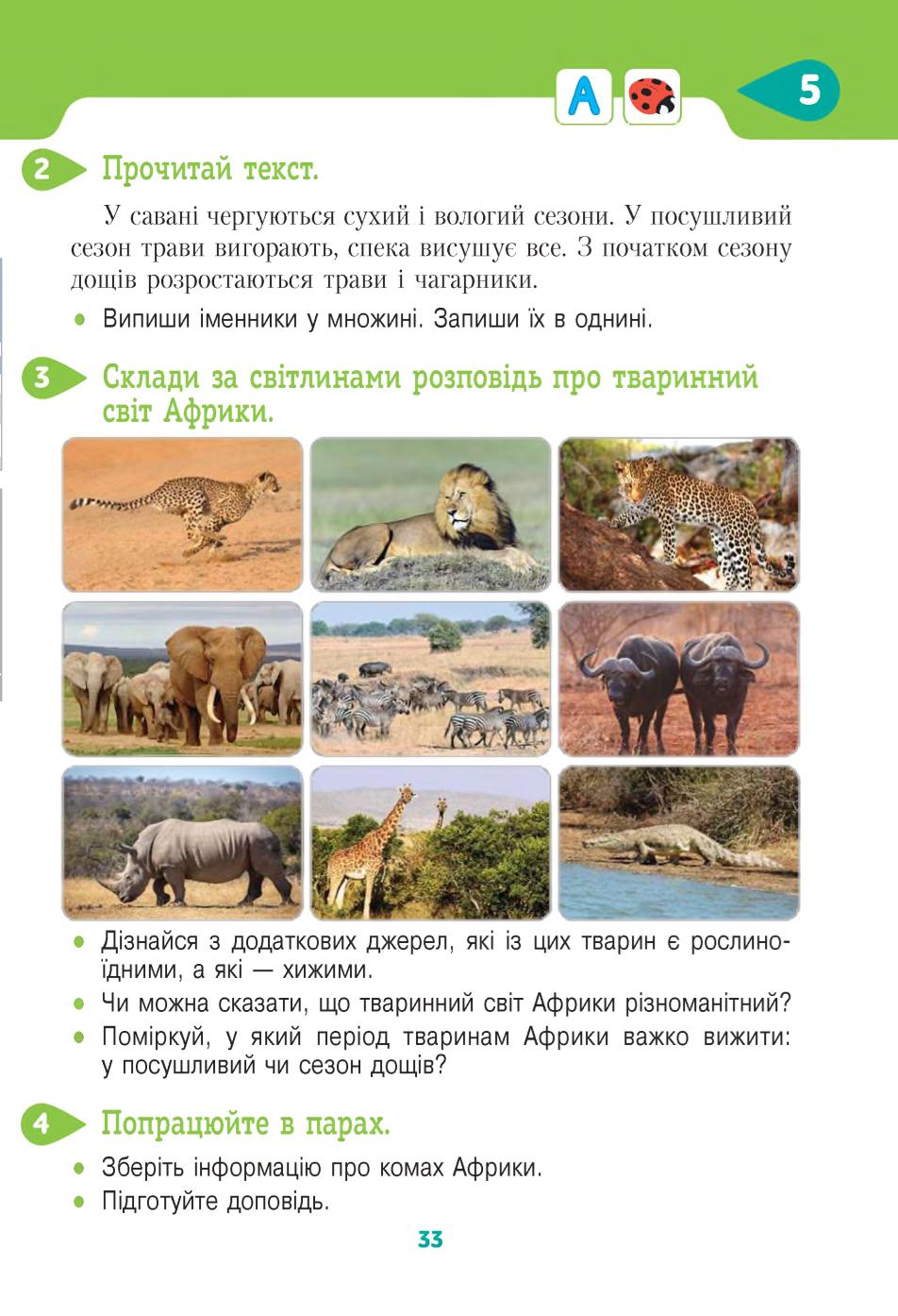 Мініатюра 33