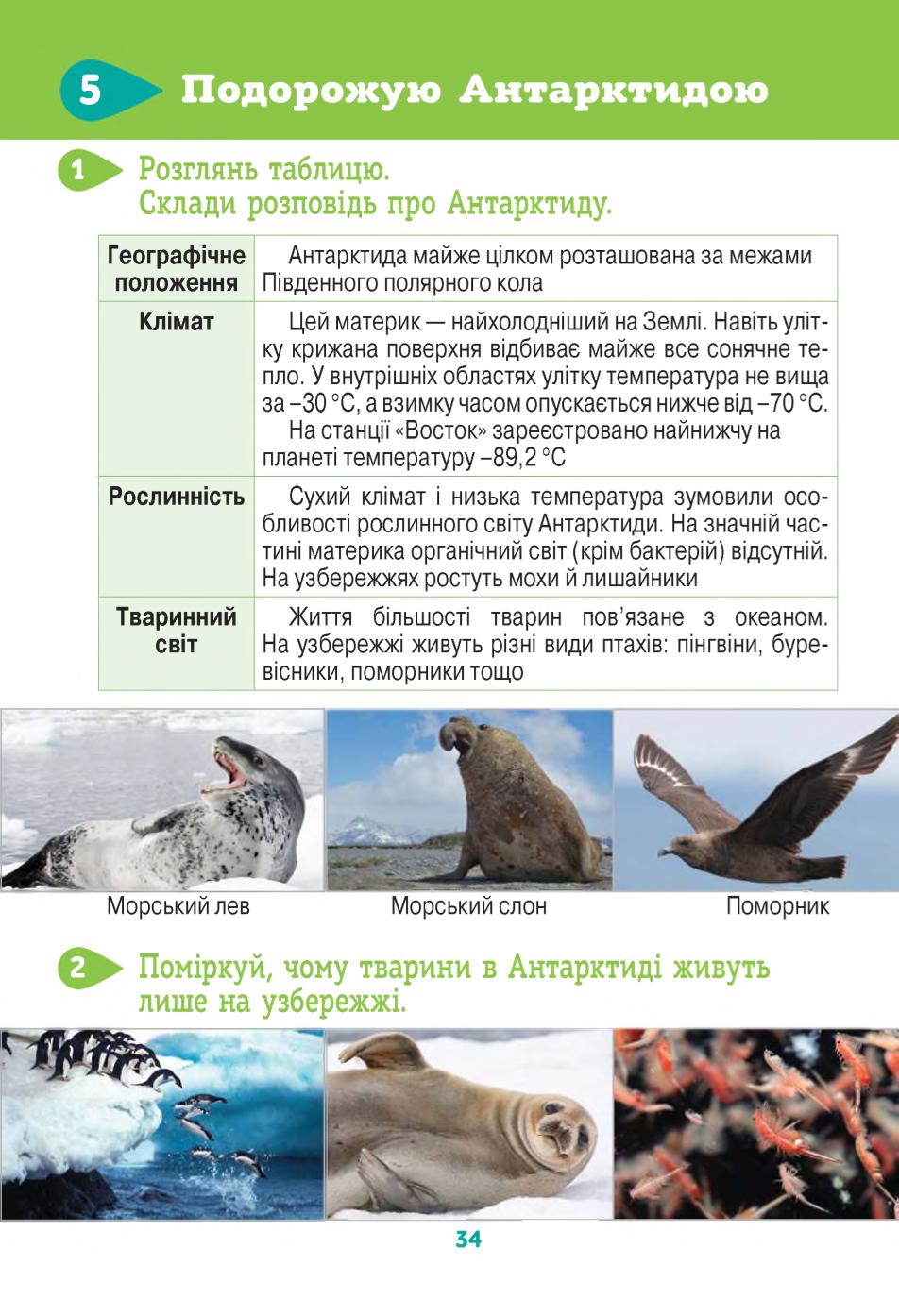 Мініатюра 34