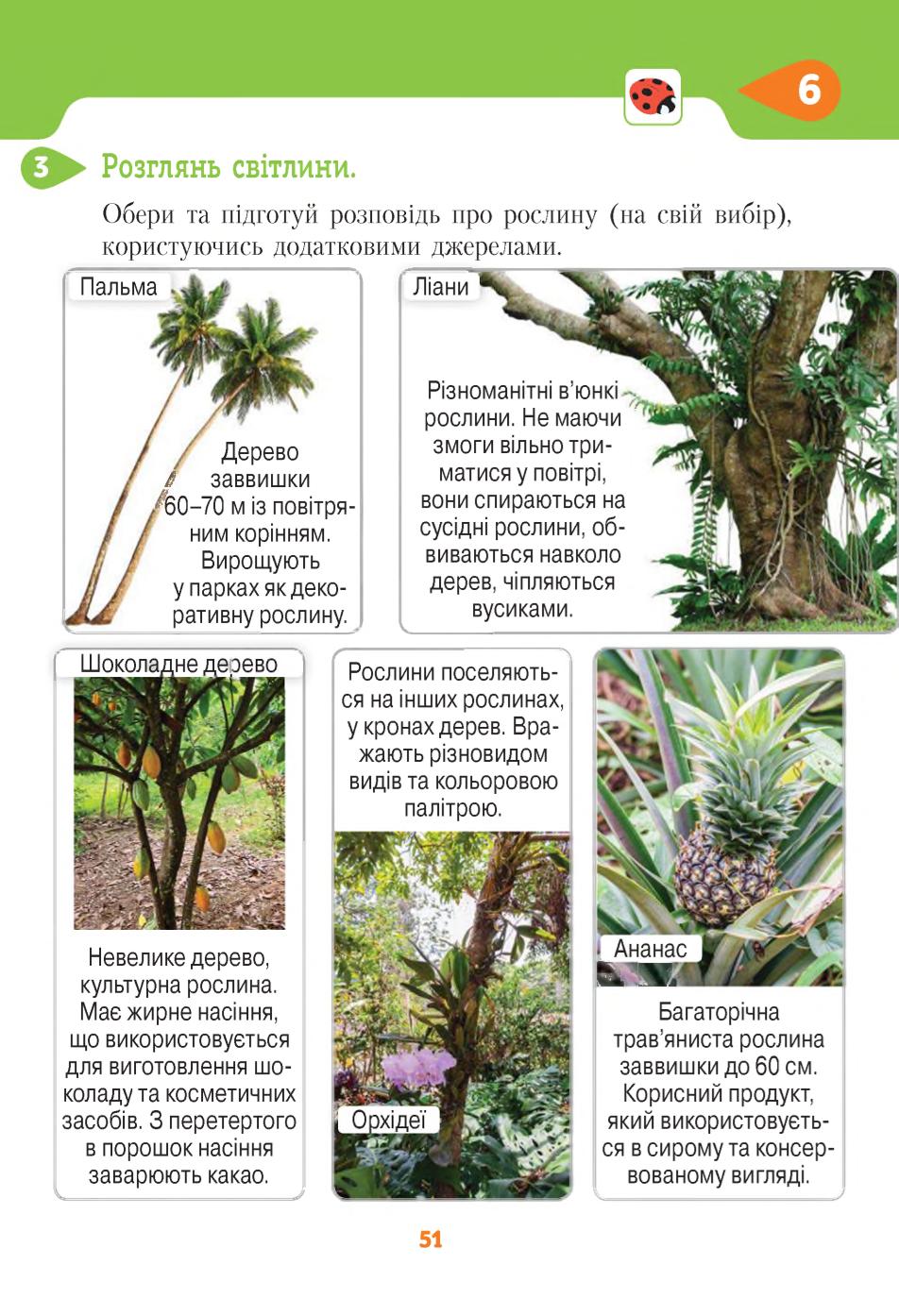 Мініатюра 51