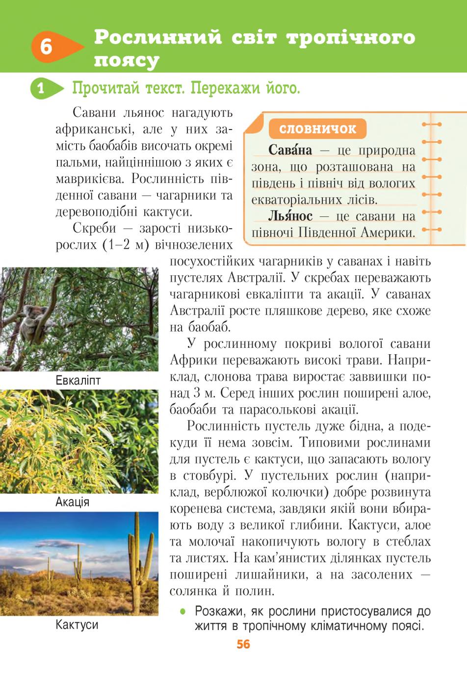 Мініатюра 56