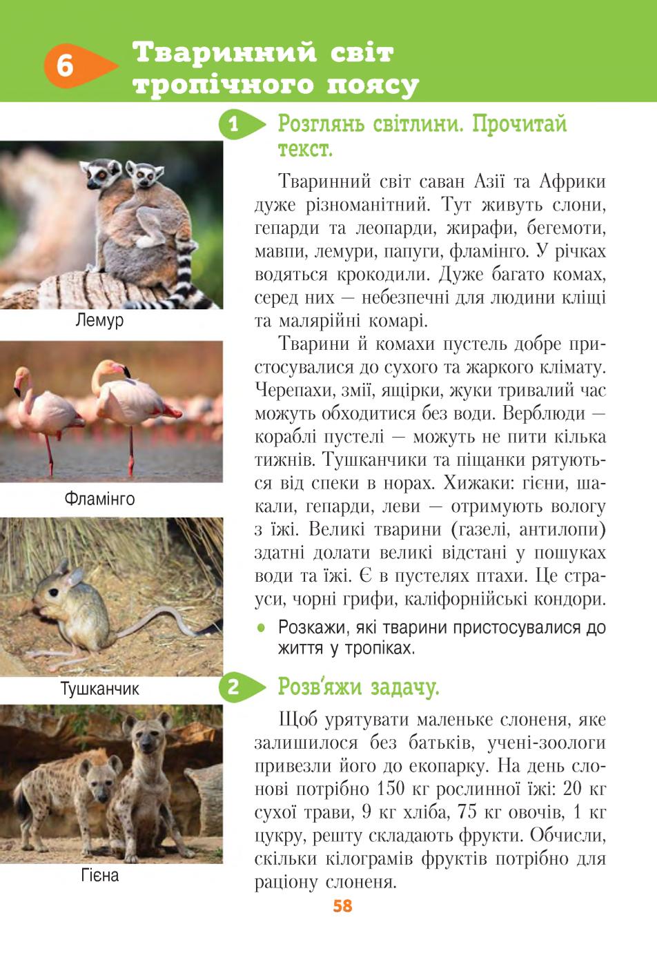 Мініатюра 58