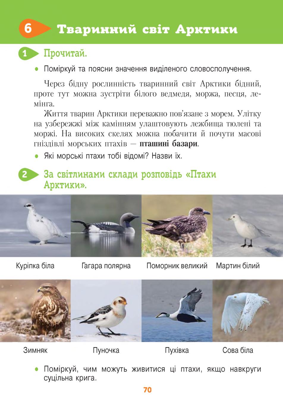 Мініатюра 70