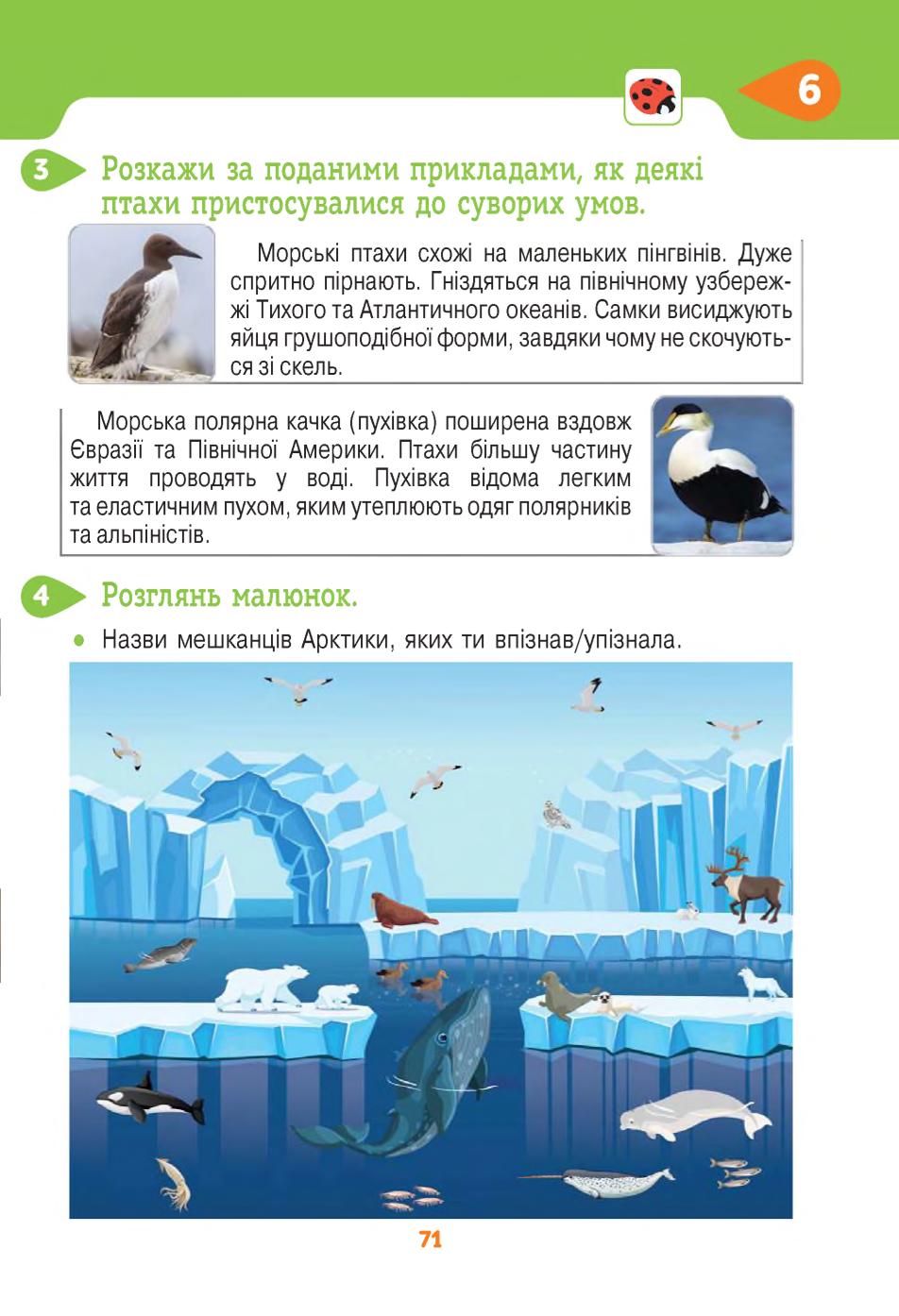 Мініатюра 71