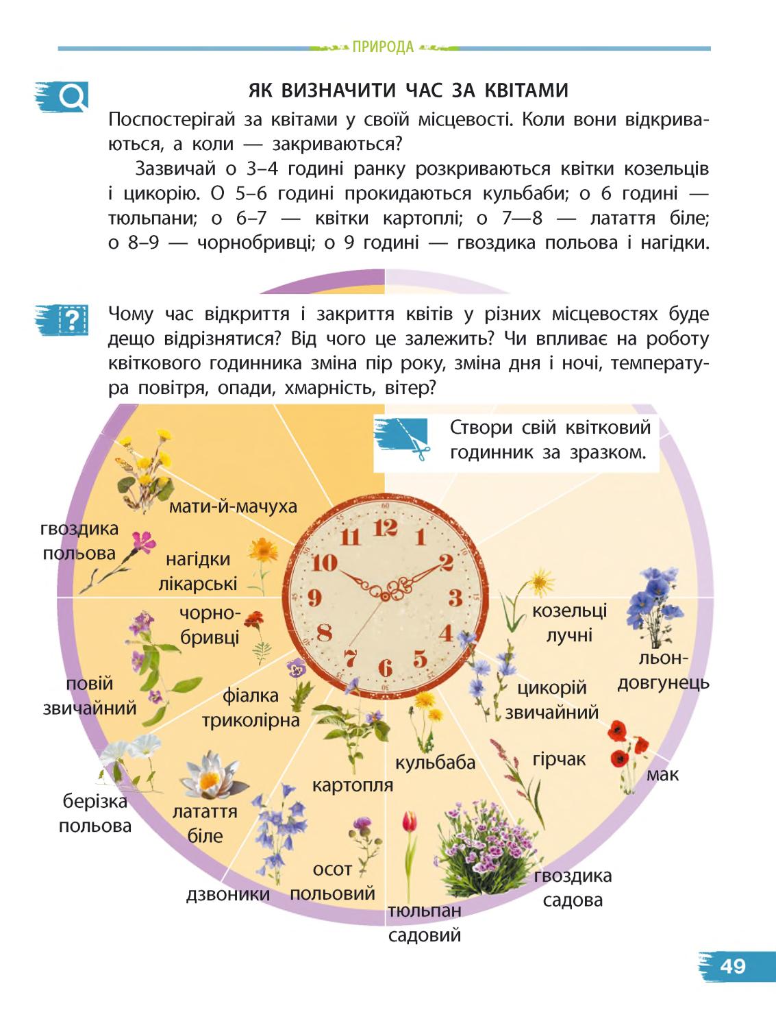 Мініатюра 49