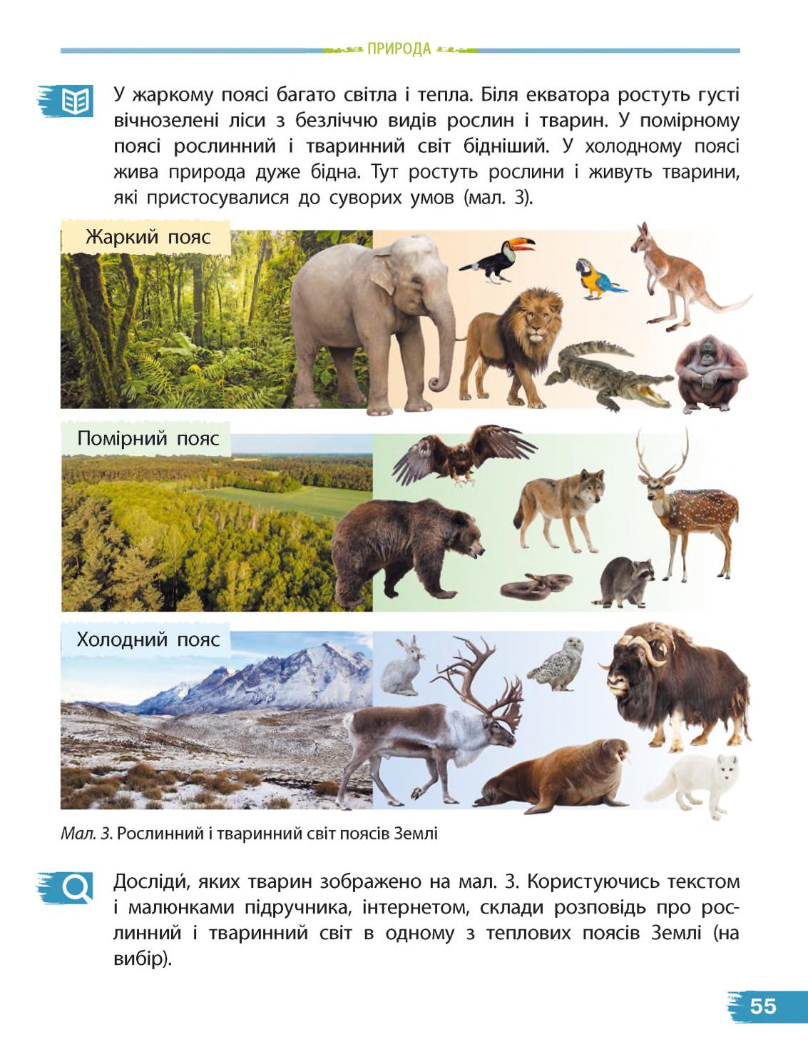 Мініатюра 55