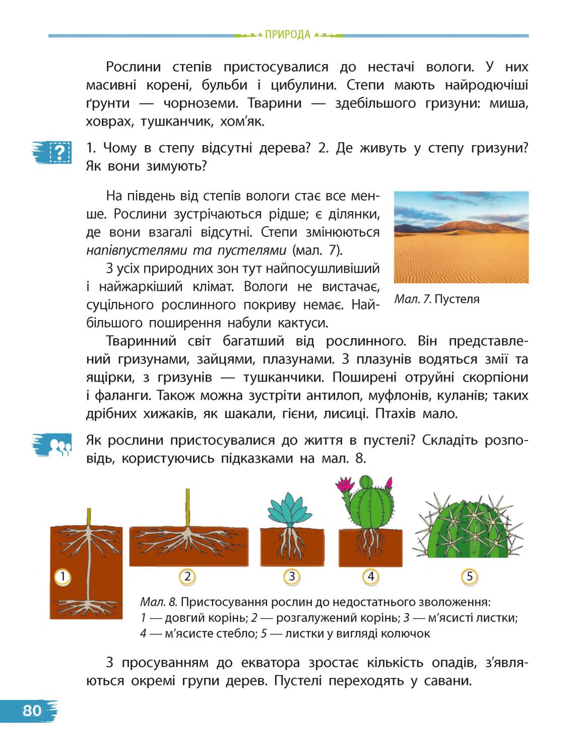 Мініатюра 80