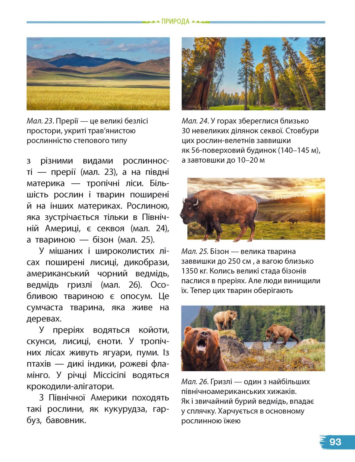 Мініатюра 93