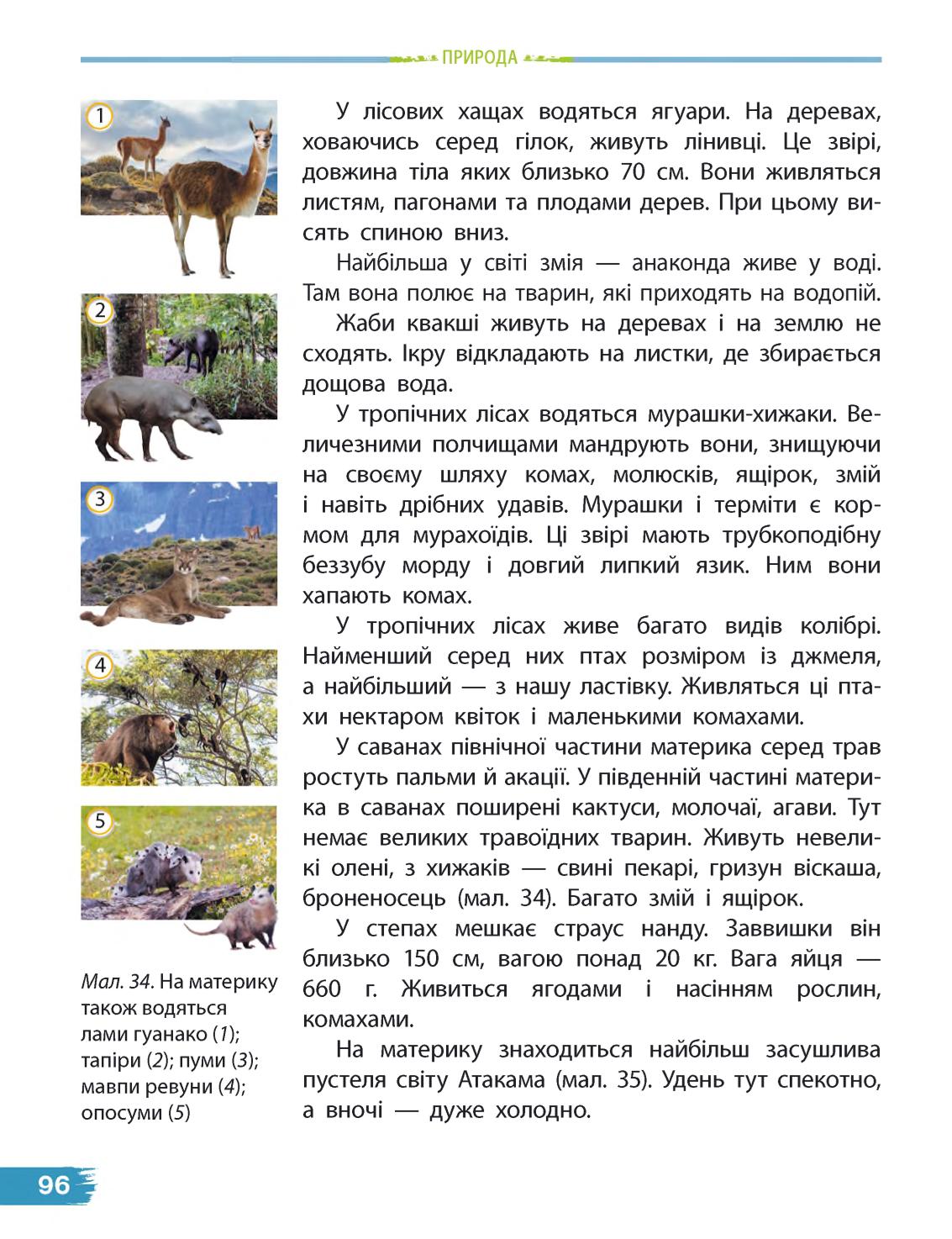 Мініатюра 96
