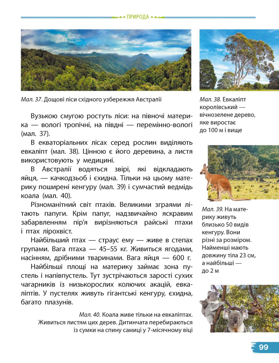 Мініатюра 99