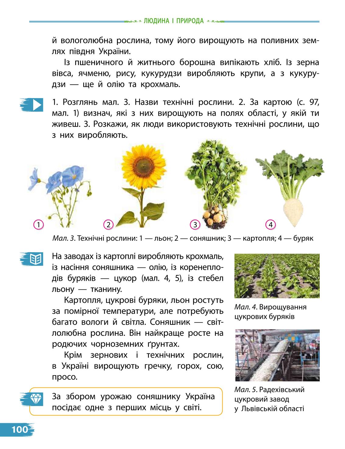 Мініатюра 100