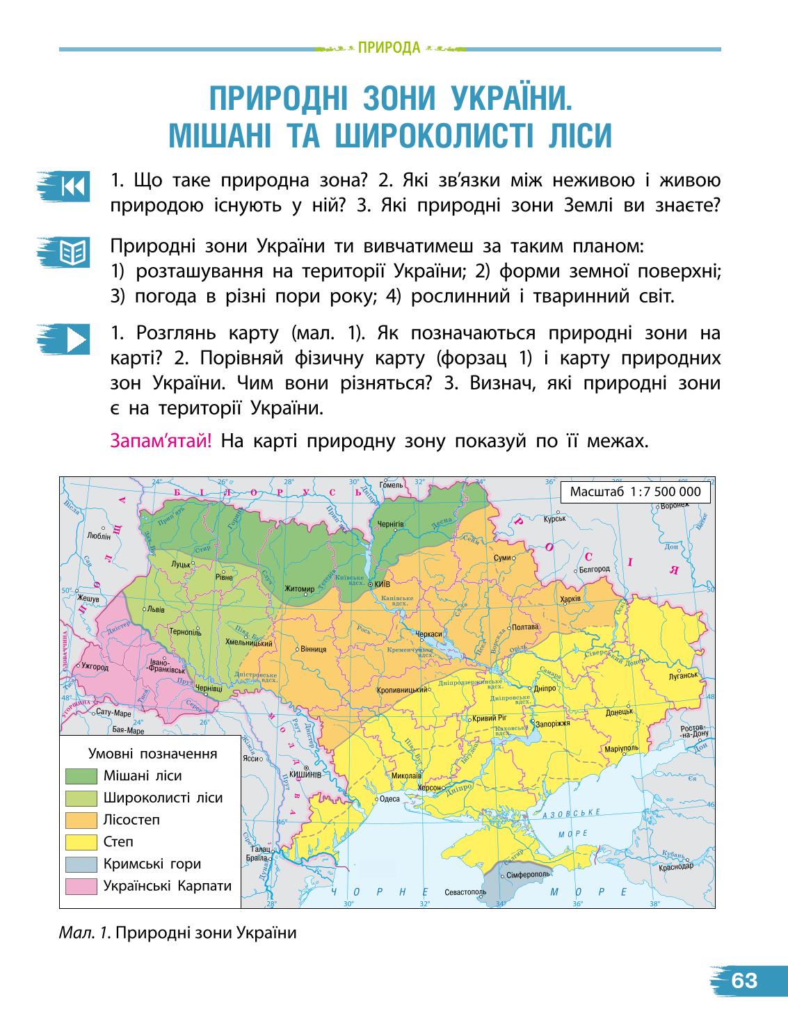 Мініатюра 63