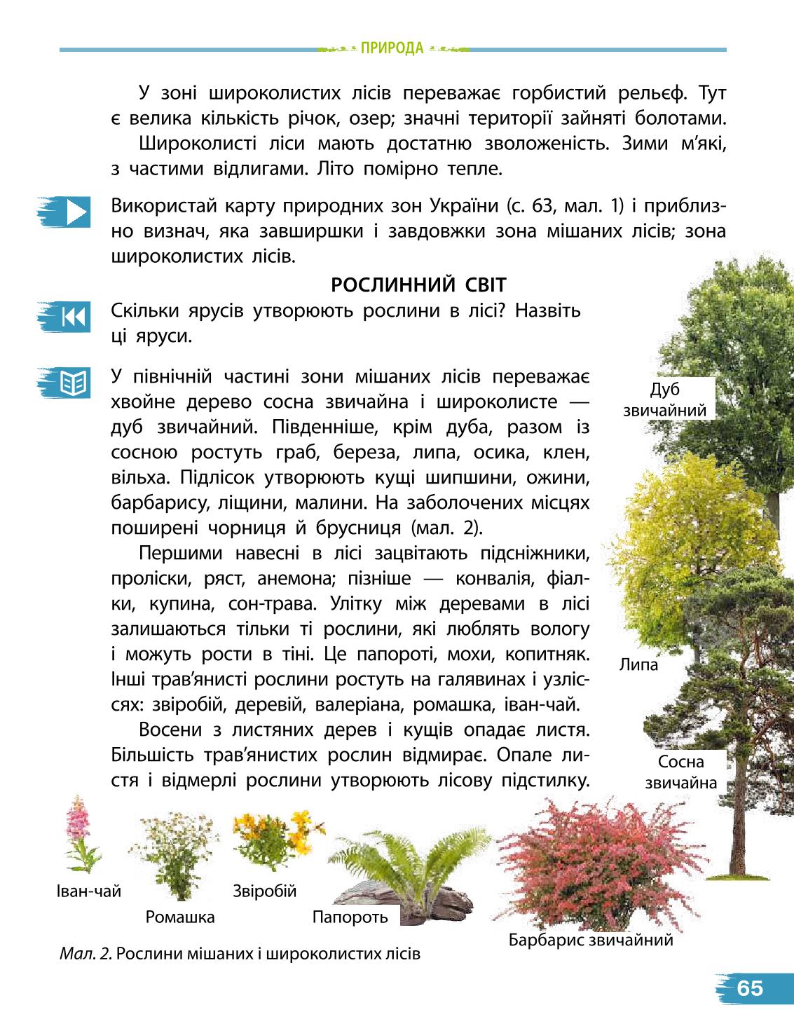 Мініатюра 65