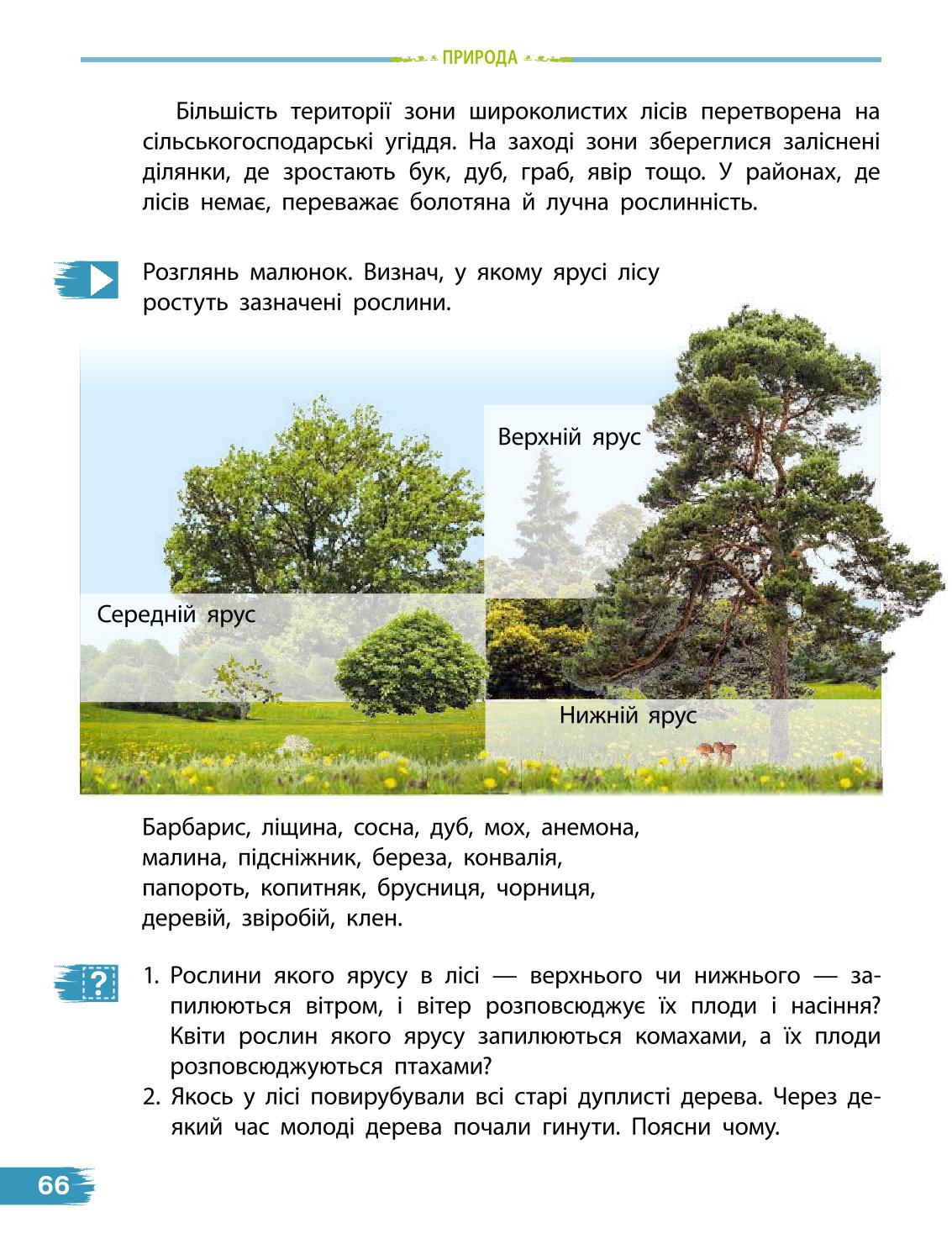 Мініатюра 66