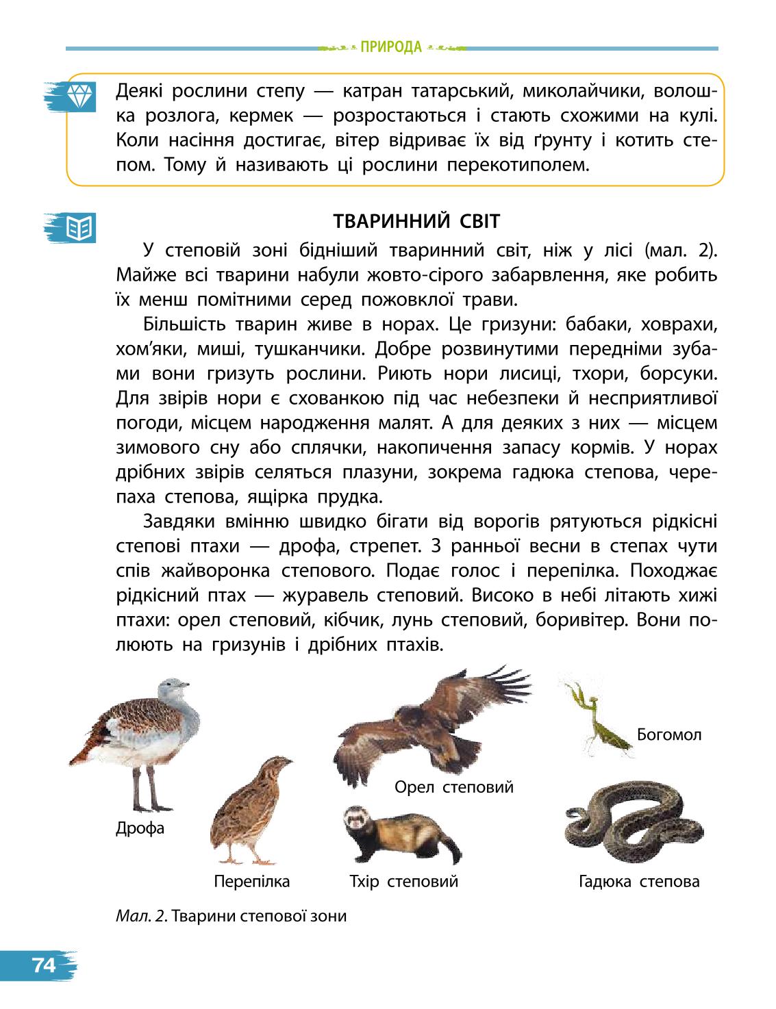 Мініатюра 74