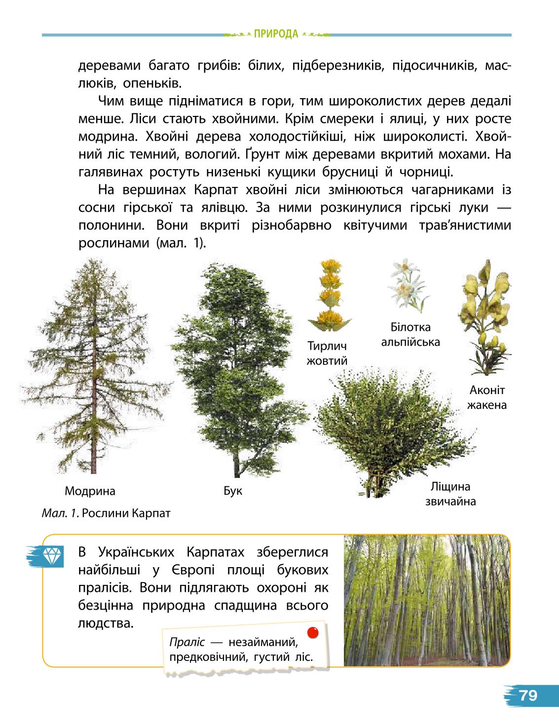 Мініатюра 79