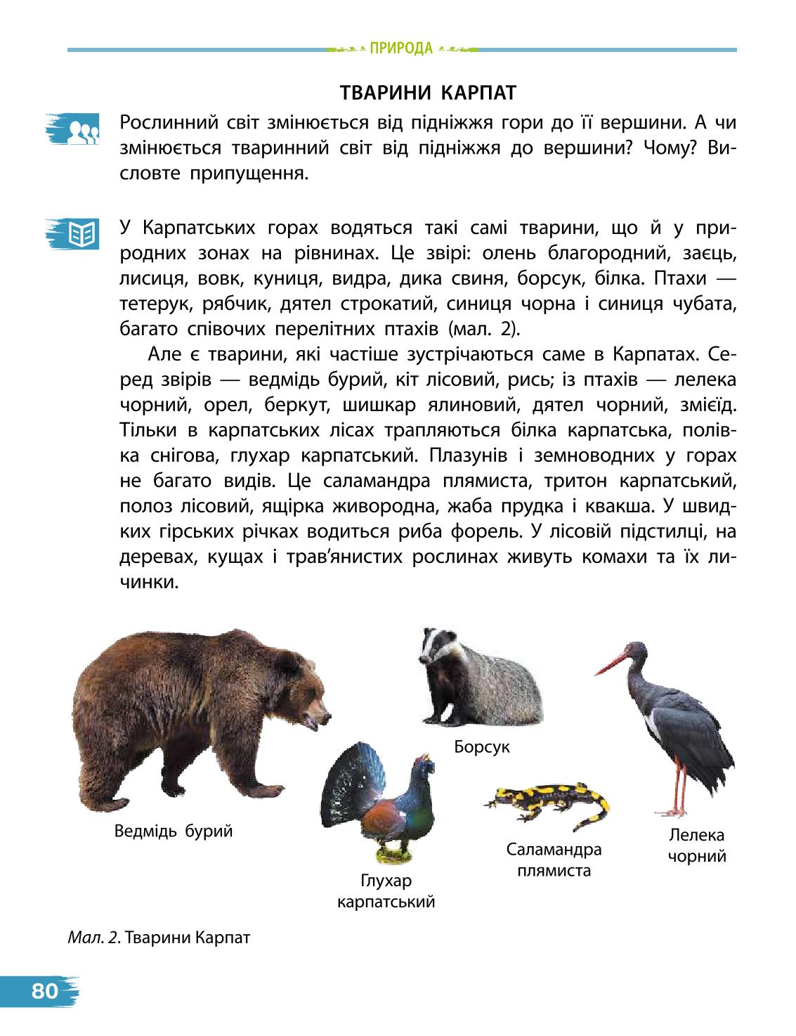 Мініатюра 80