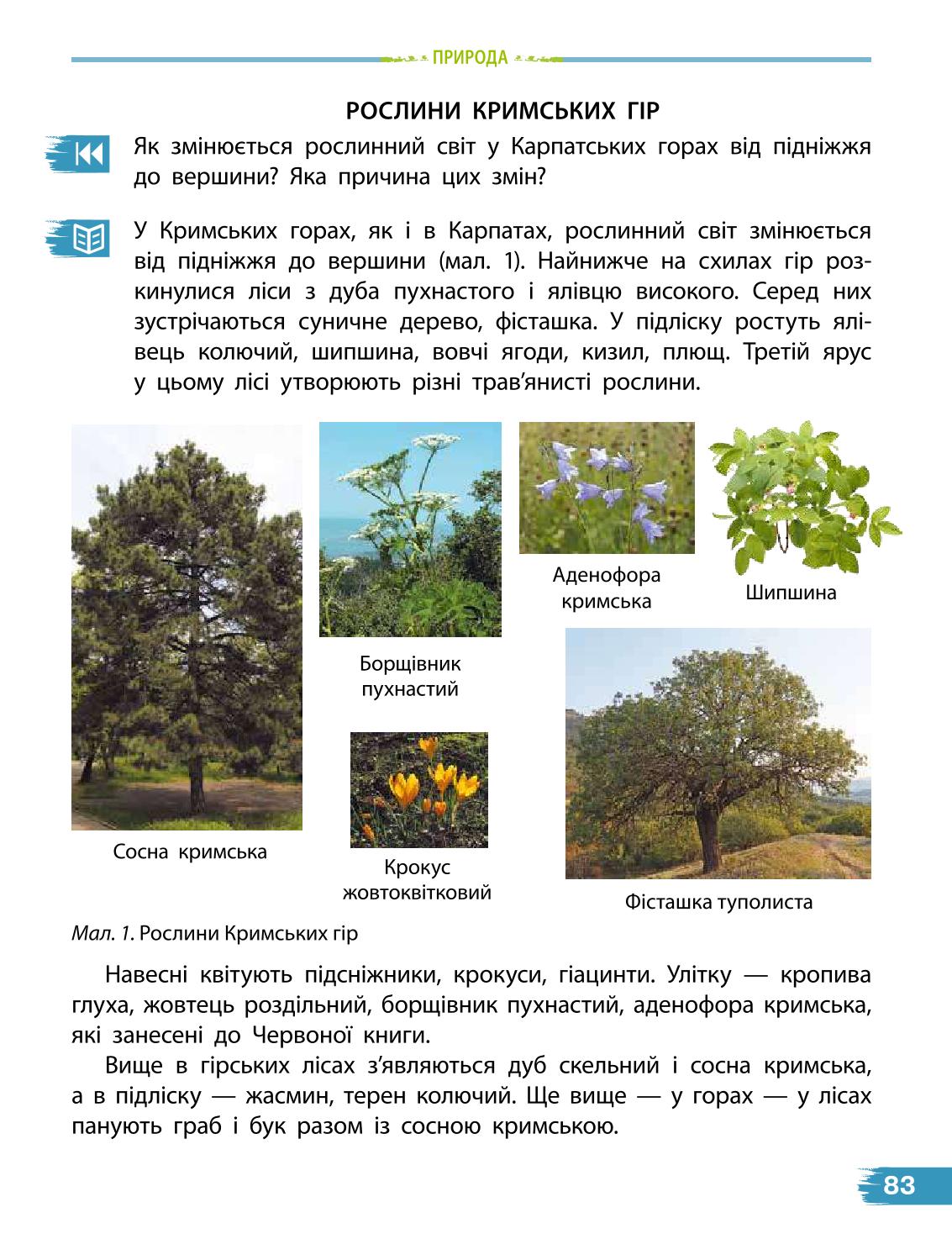 Мініатюра 83