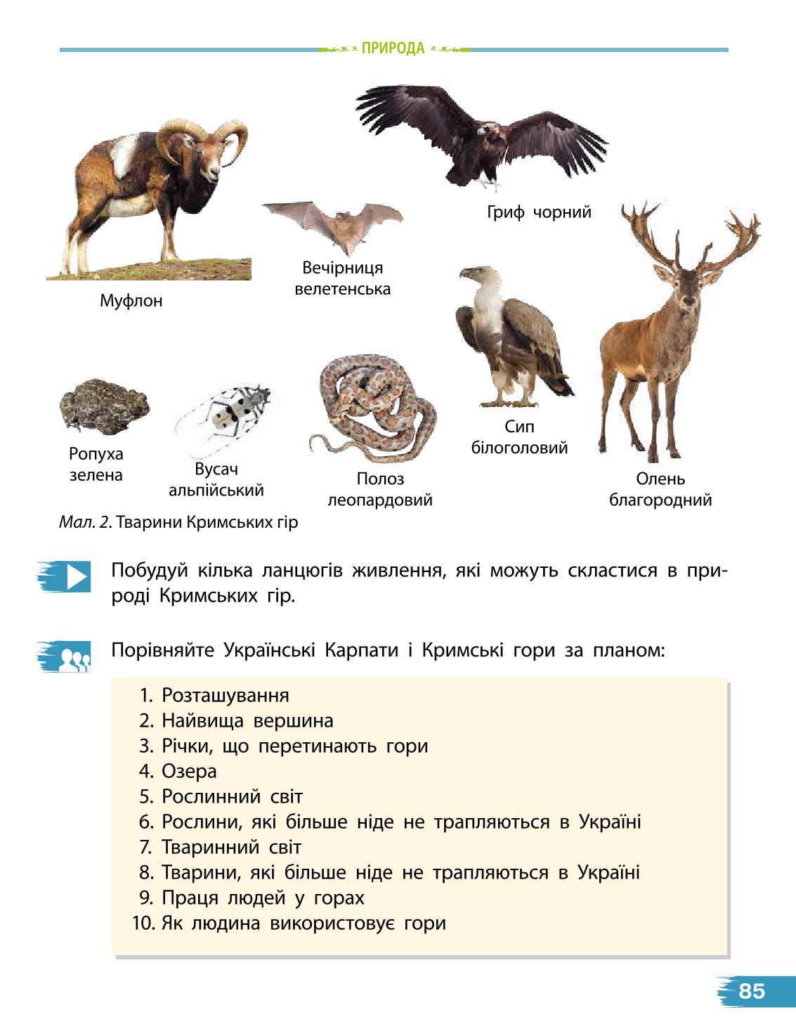 Мініатюра 85