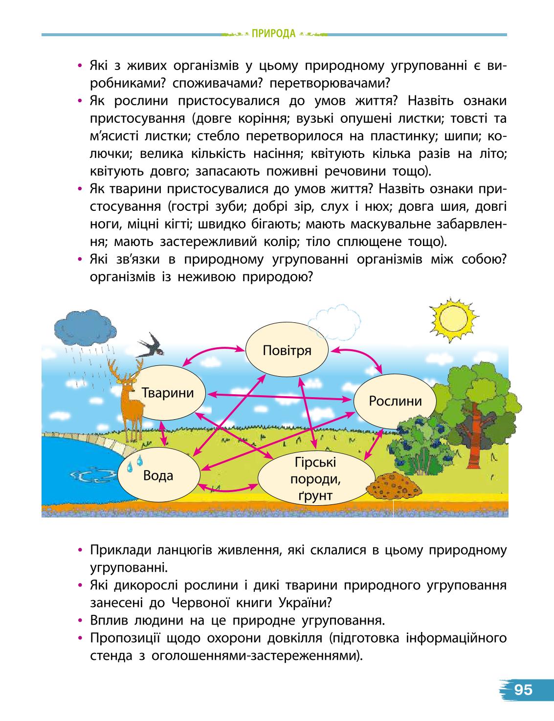 Мініатюра 95