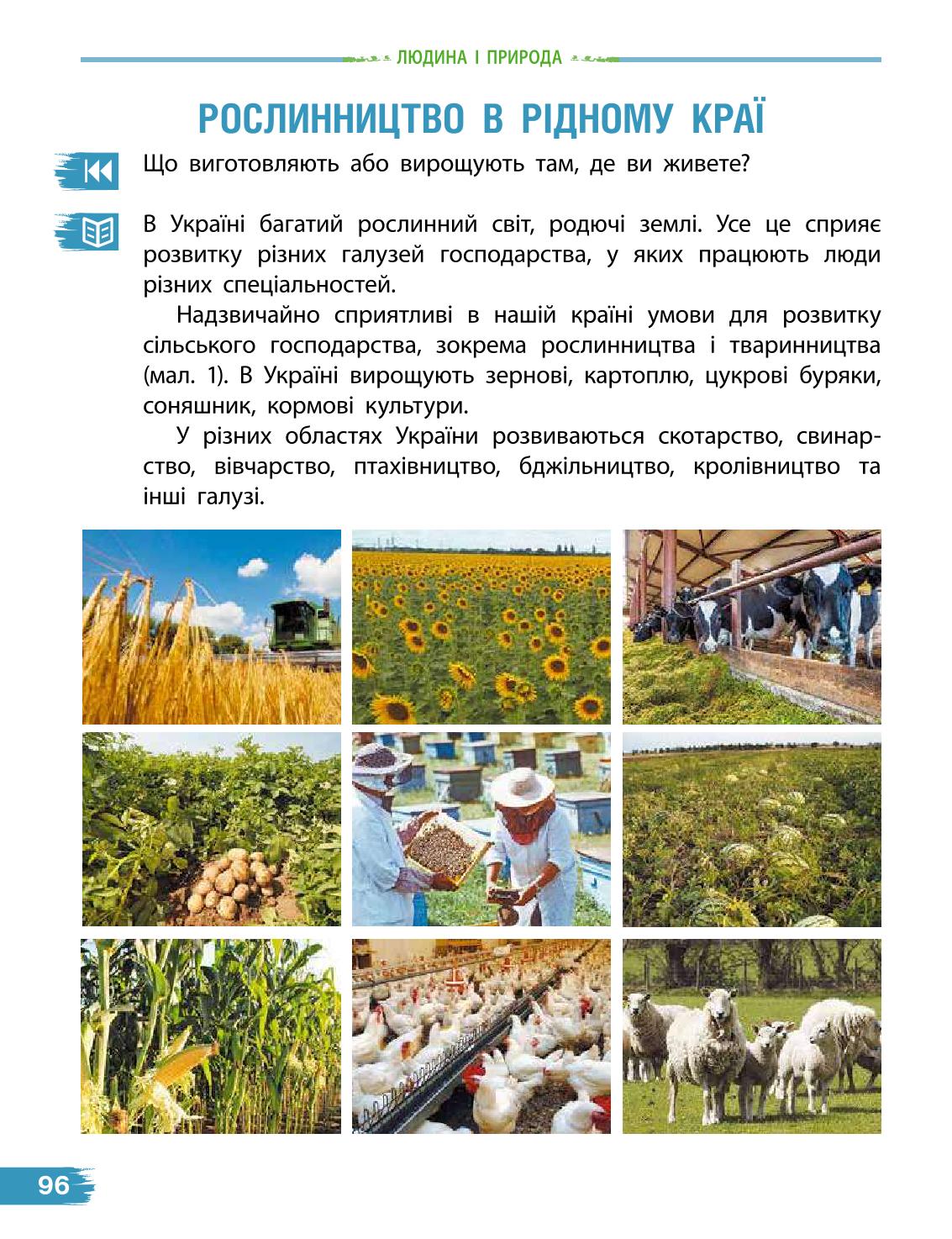 Мініатюра 96