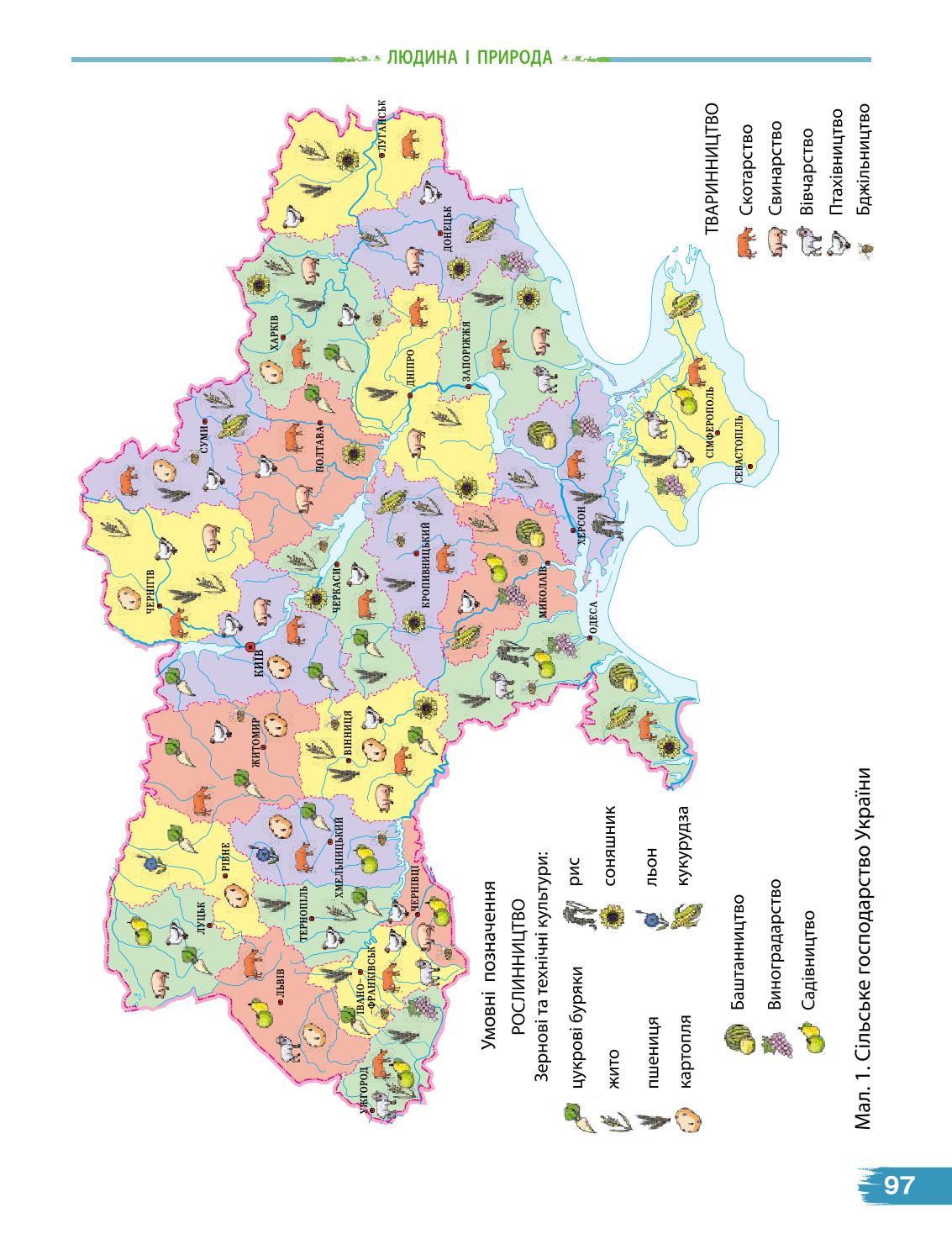 Мініатюра 97
