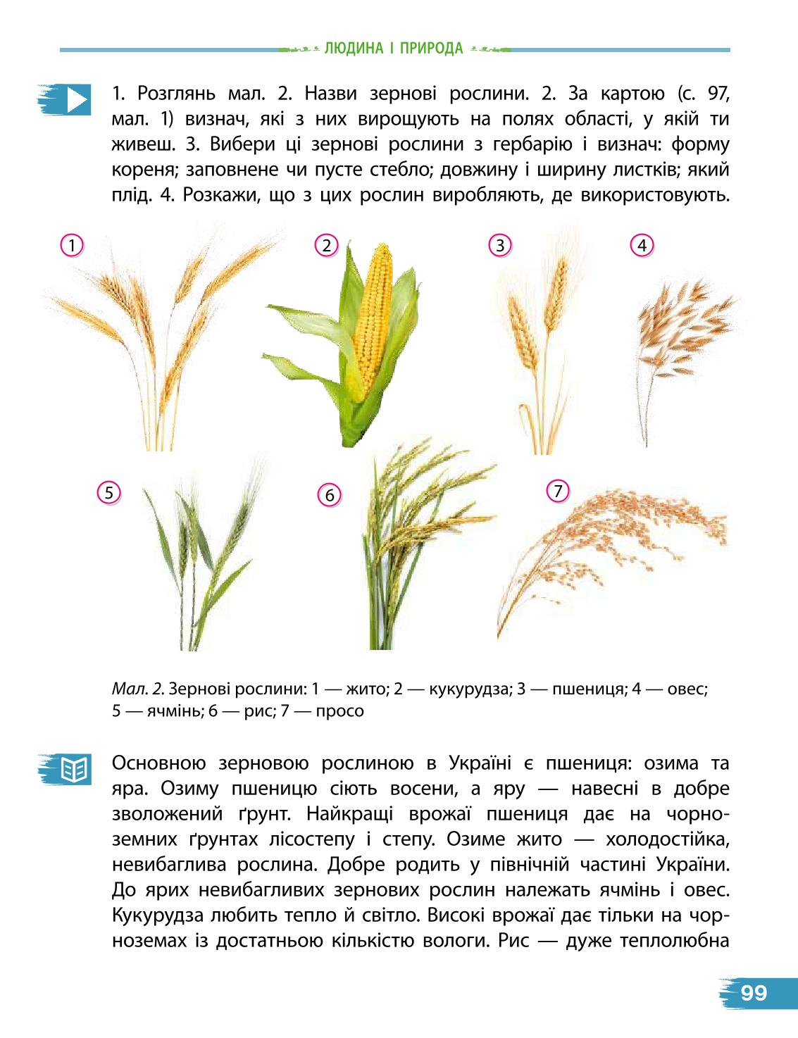 Мініатюра 99
