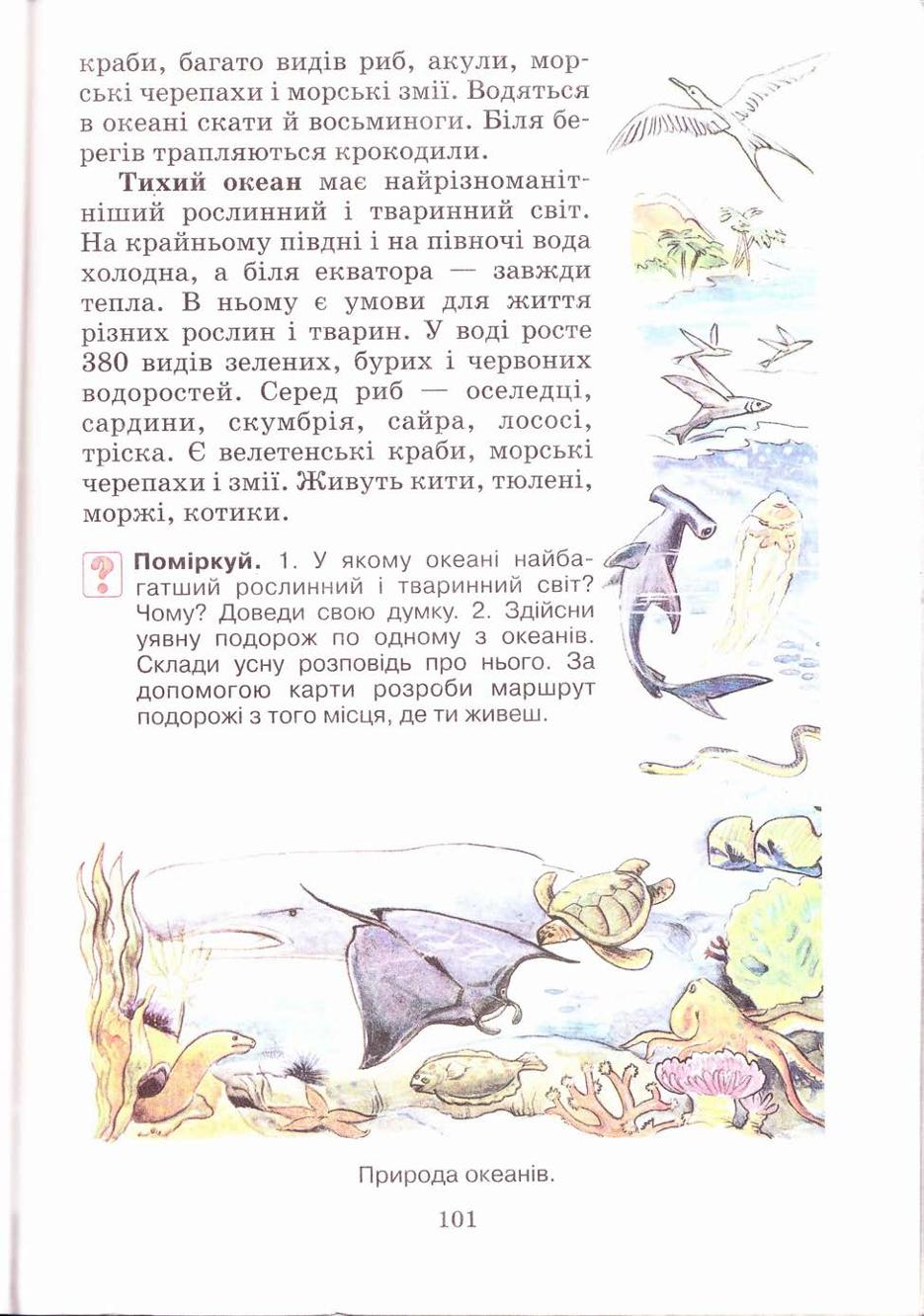 Мініатюра 101