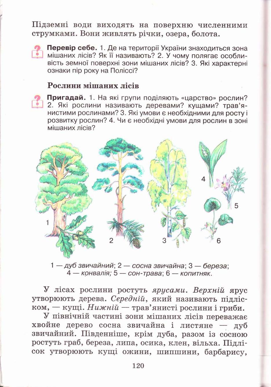 Мініатюра 120