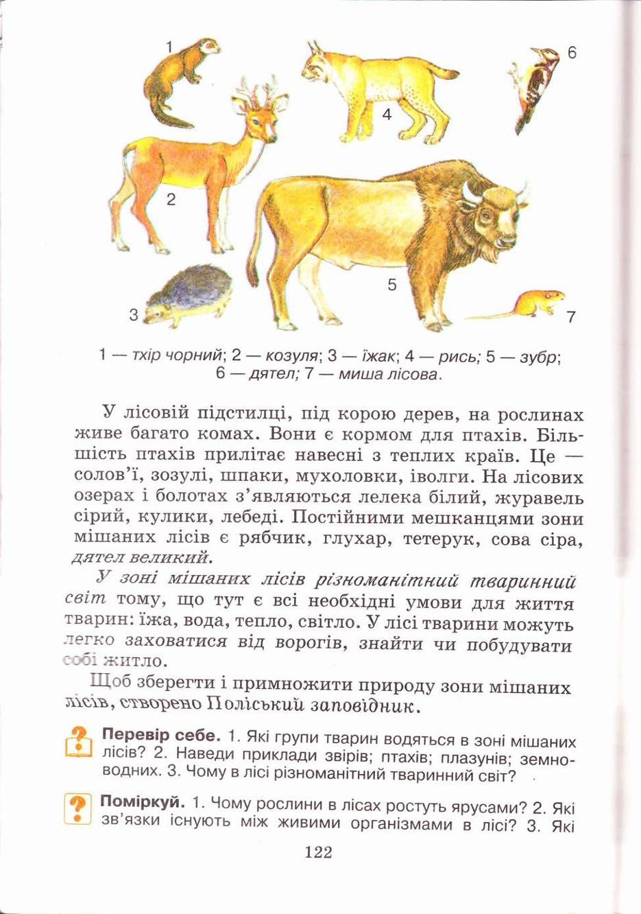 Мініатюра 122