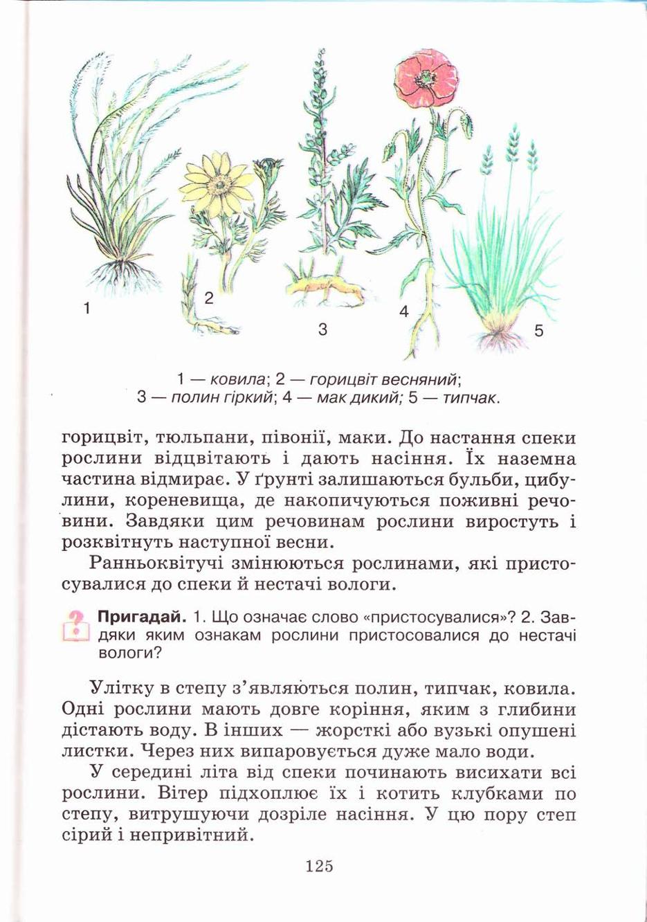 Мініатюра 125