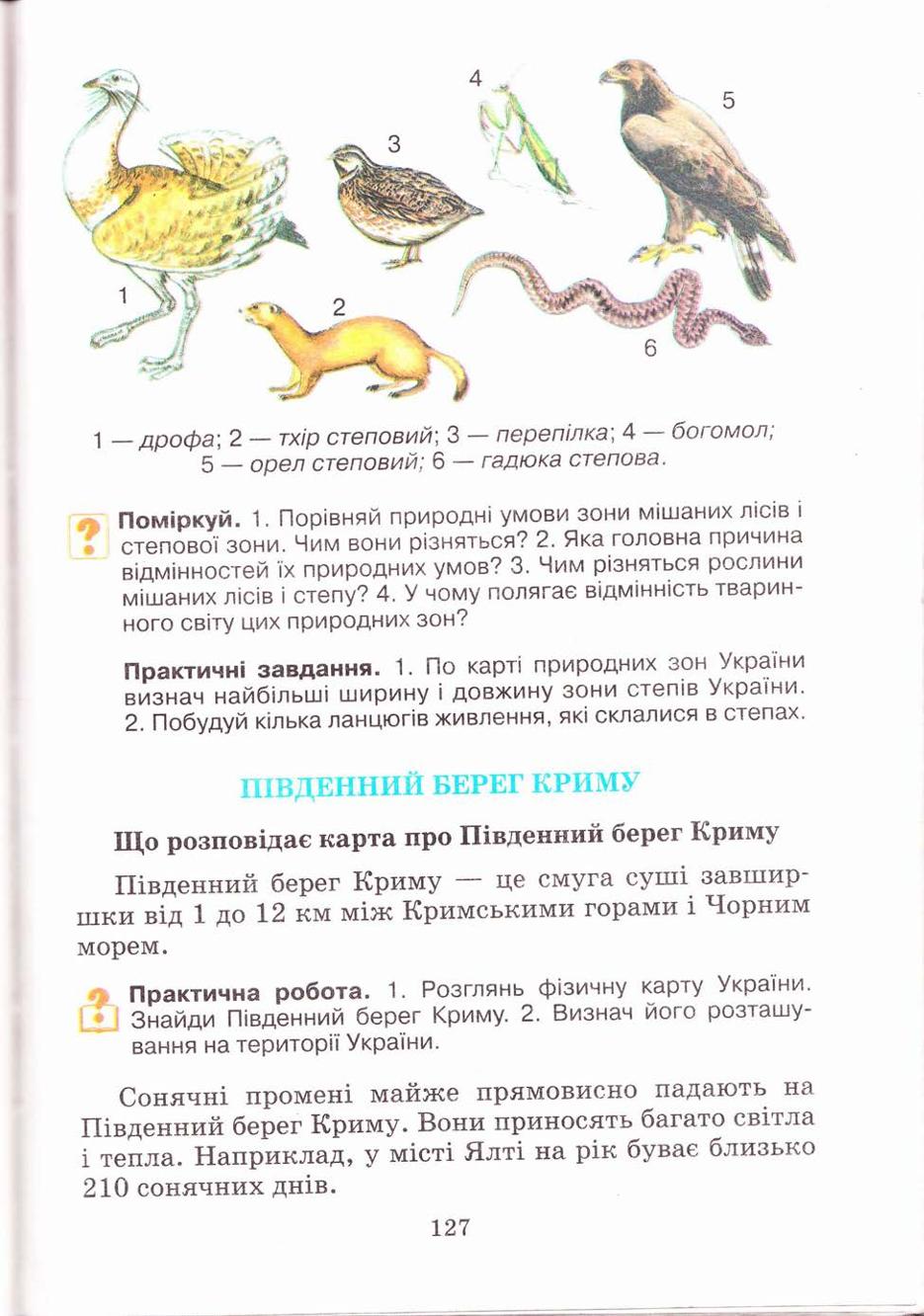 Мініатюра 127