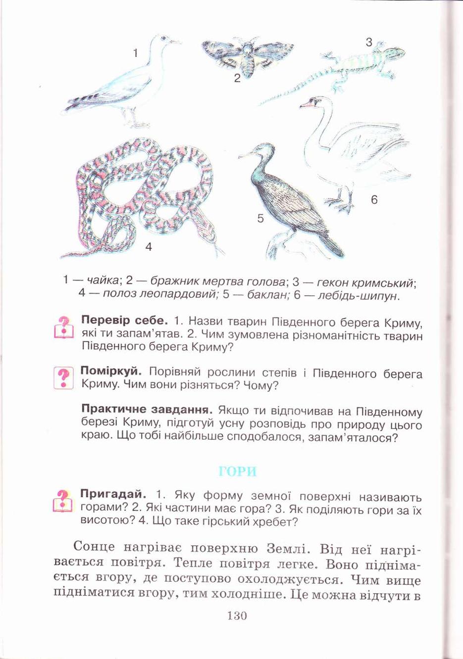 Мініатюра 130