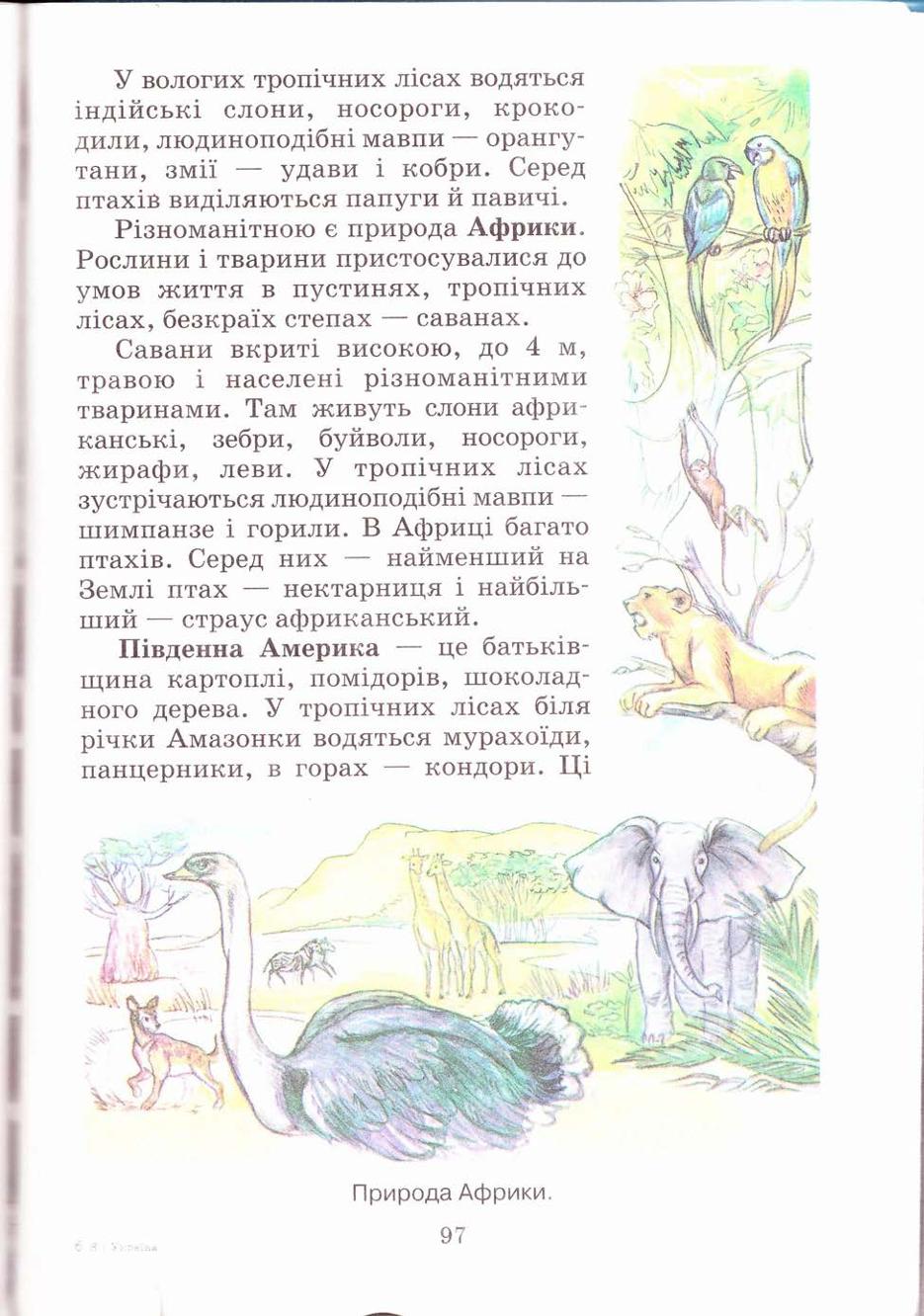 Мініатюра 97