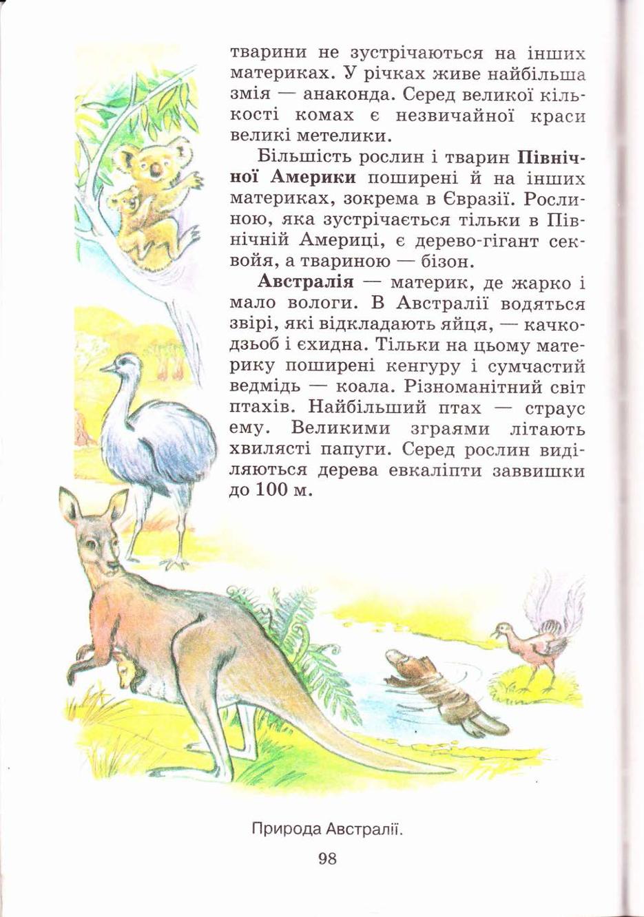 Мініатюра 98