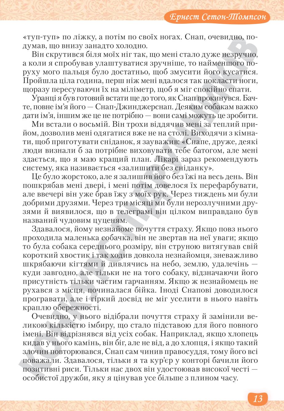 Мініатюра 13