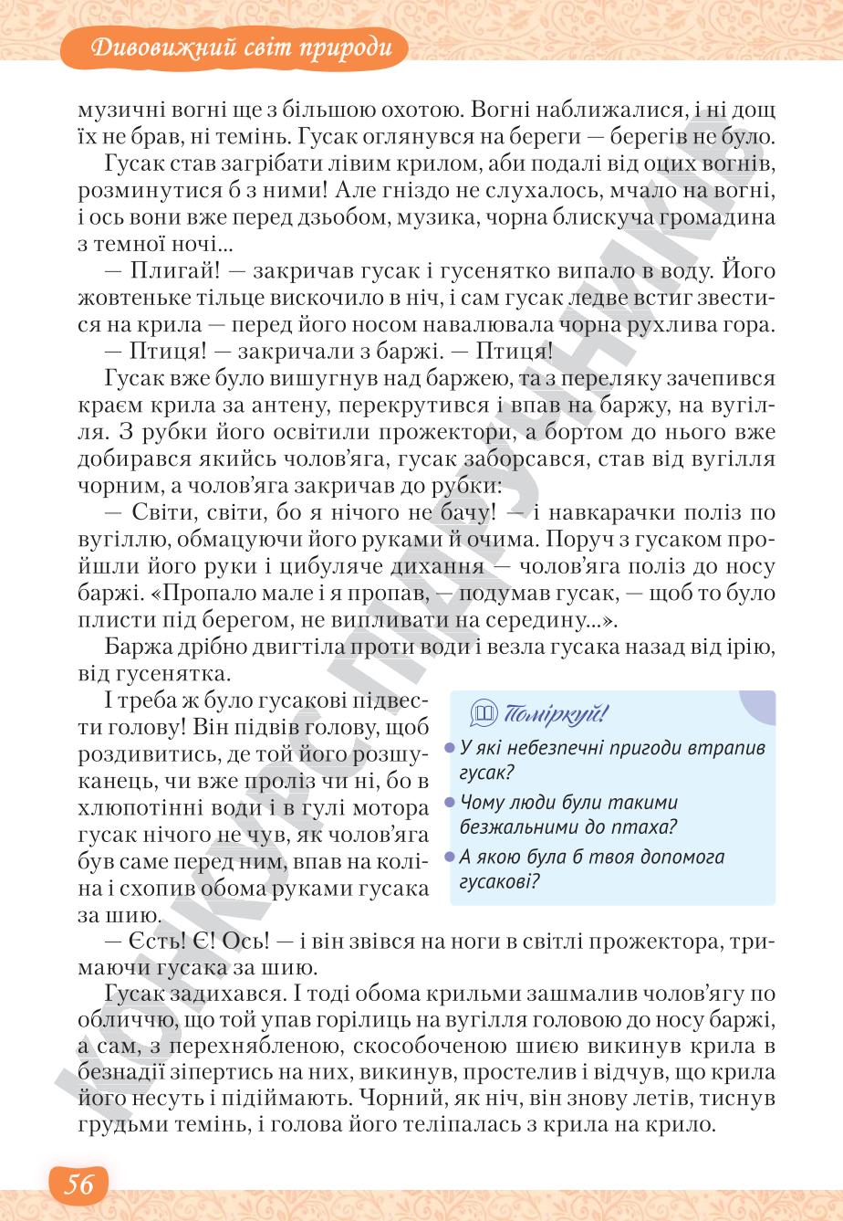 Мініатюра 56