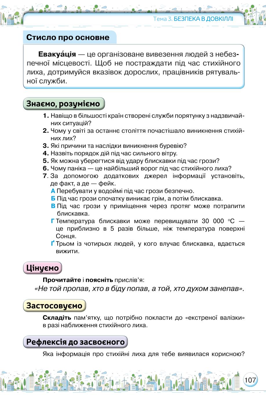 Мініатюра 107