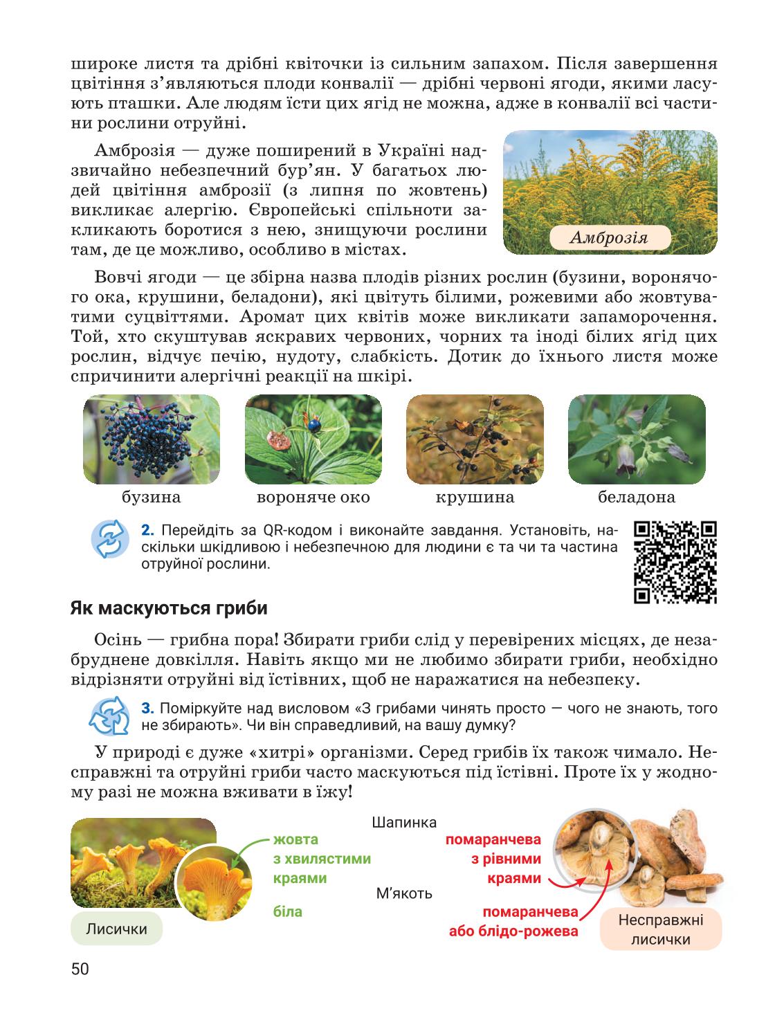 Мініатюра 50