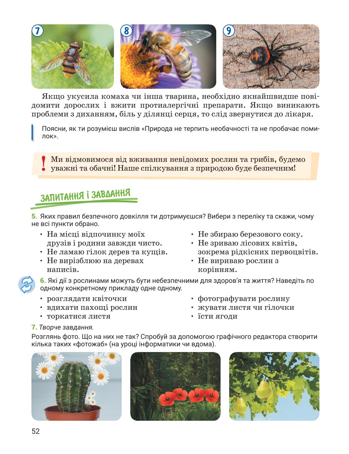 Мініатюра 52