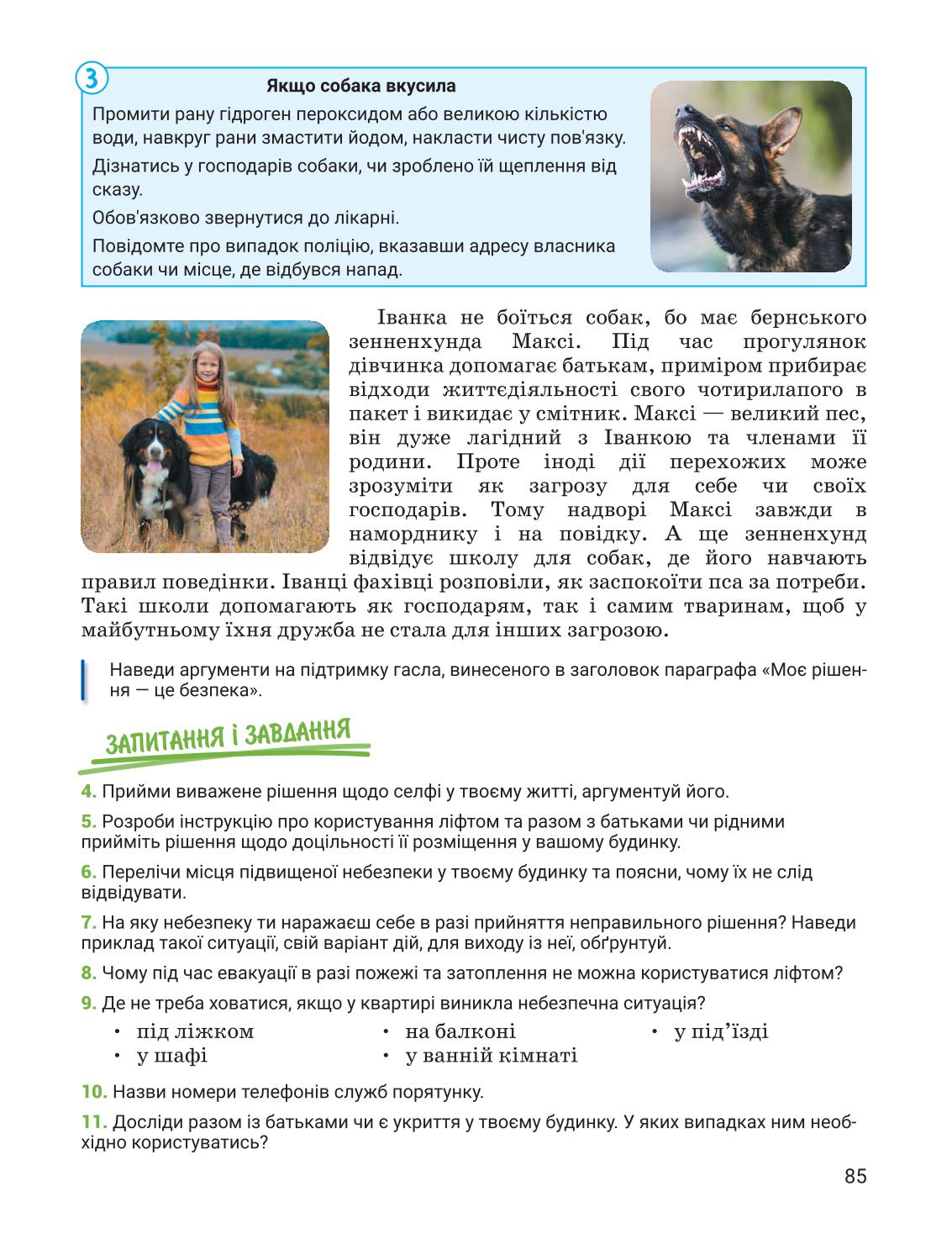 Мініатюра 85