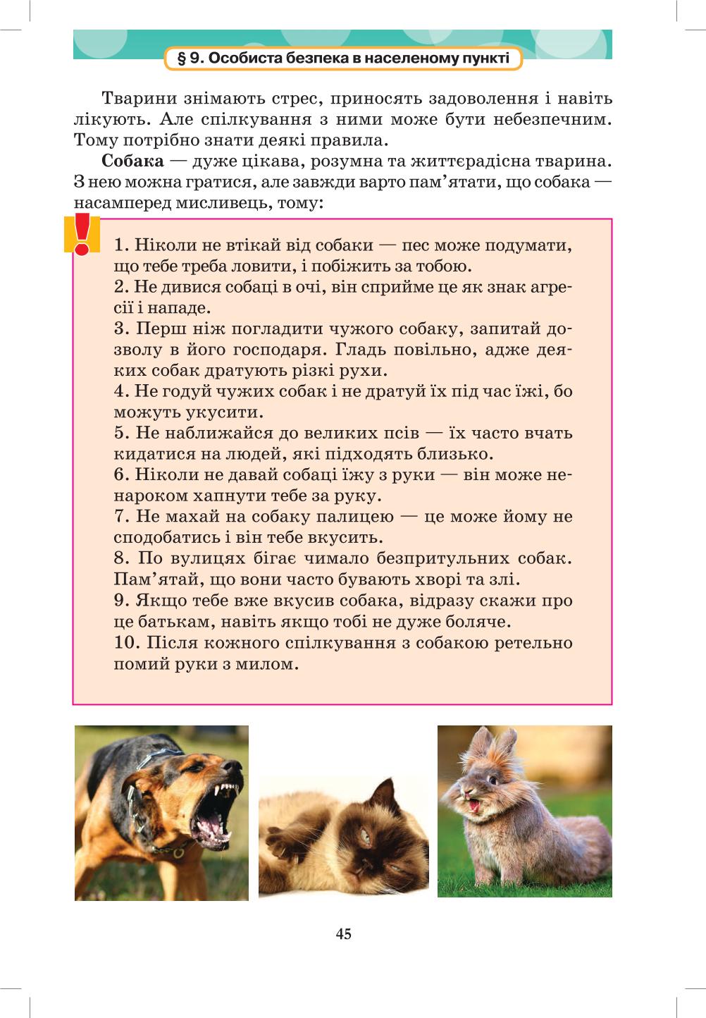Мініатюра 45