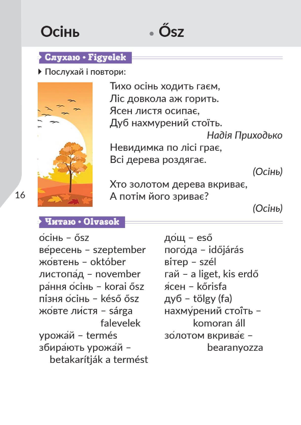 Мініатюра 16