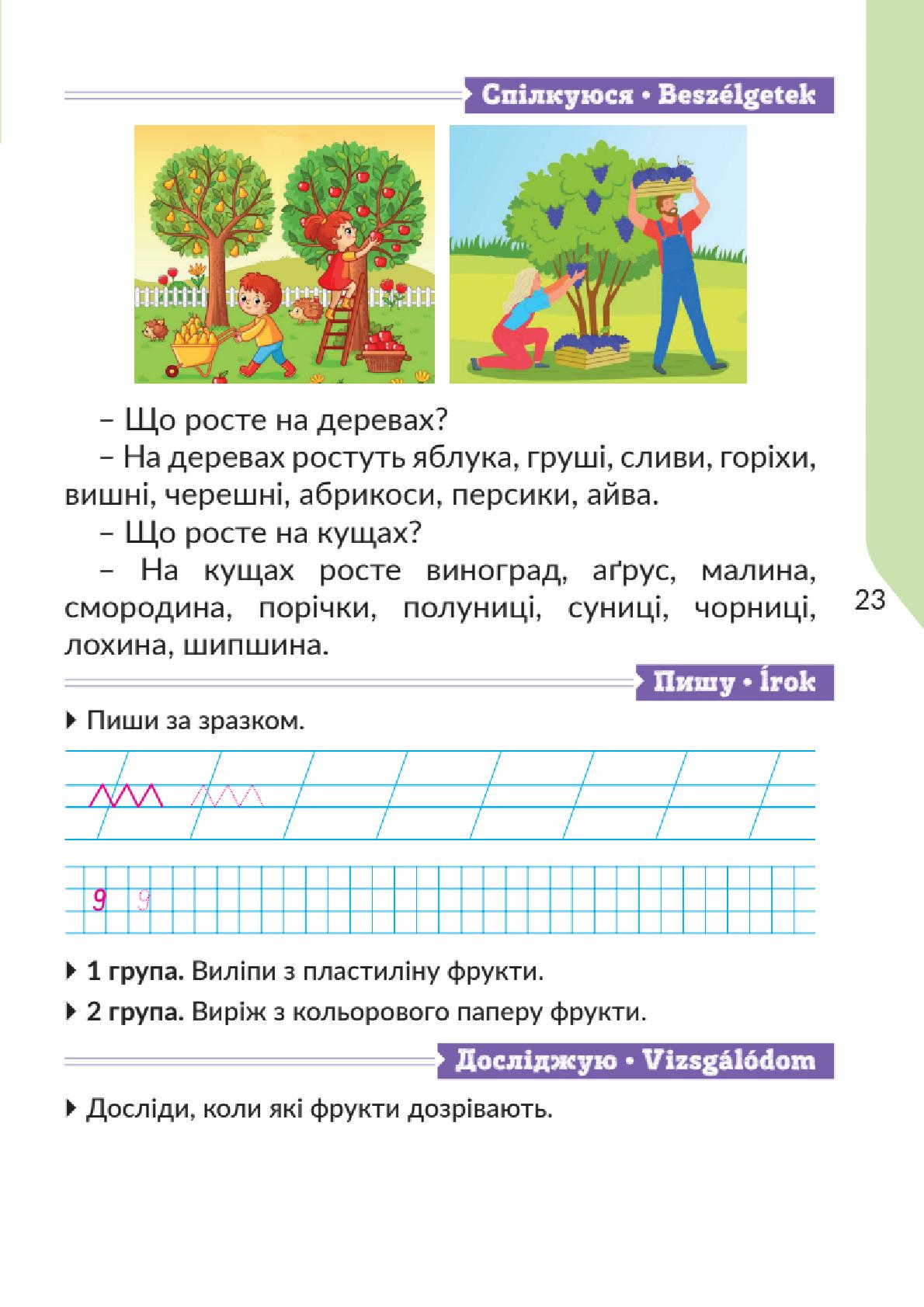 Мініатюра 23