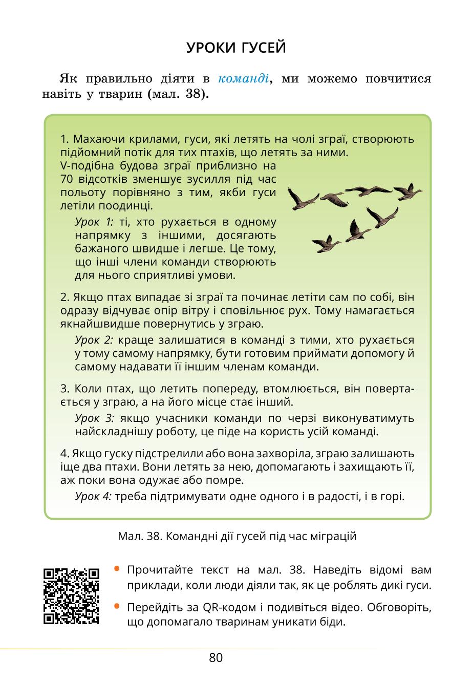 Мініатюра 80