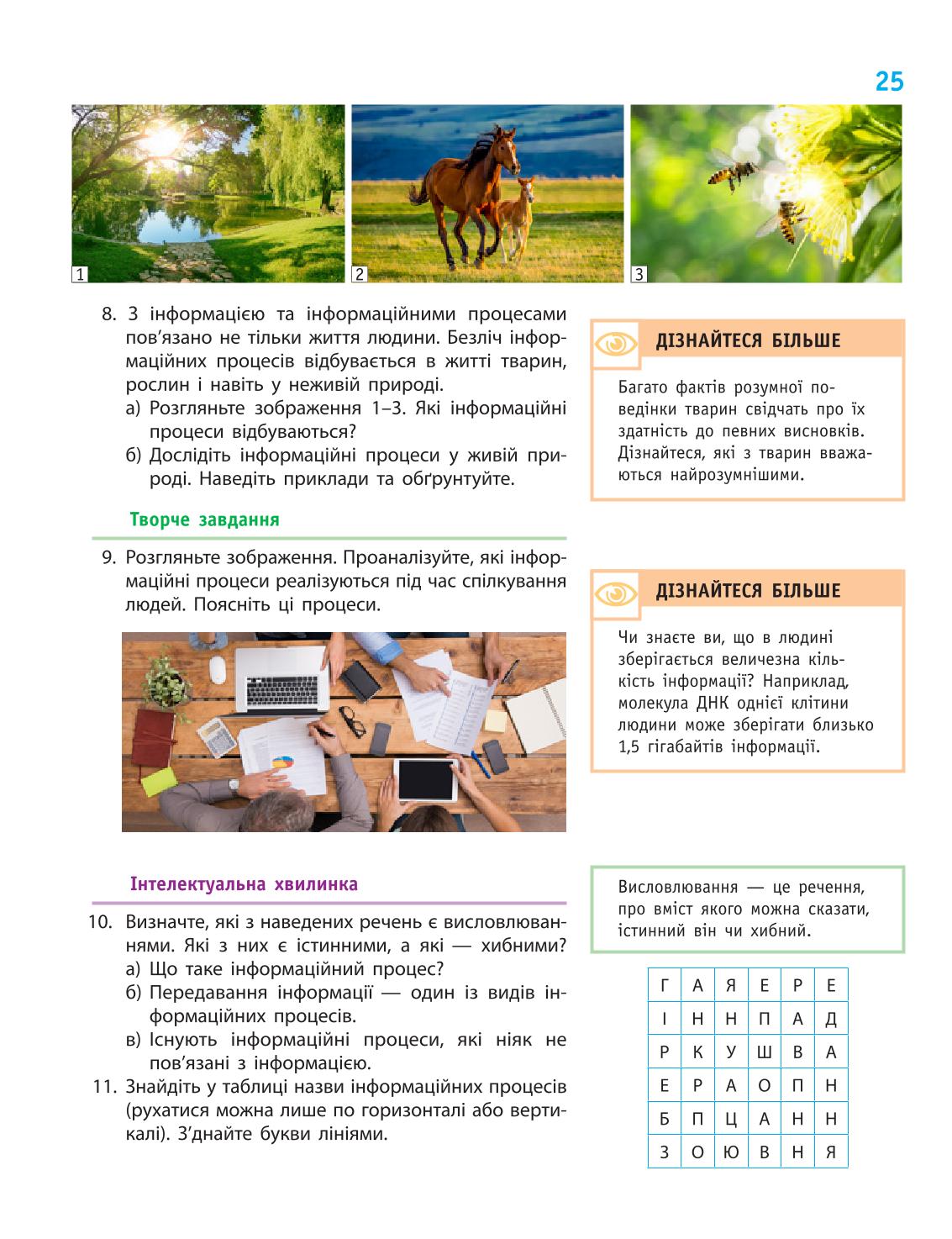 Мініатюра 25